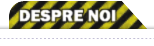 Despre noi